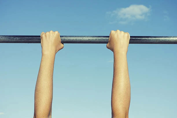 Introducing the game-changer in strength training: The WR Weighted Pull Up