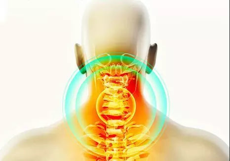 Introducing the Back Stretcher Wheel - Your Solution to Chronic Back Pain