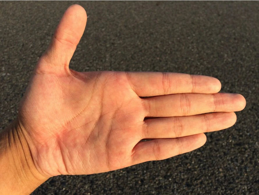 D'Addario Finger Exerciser Review