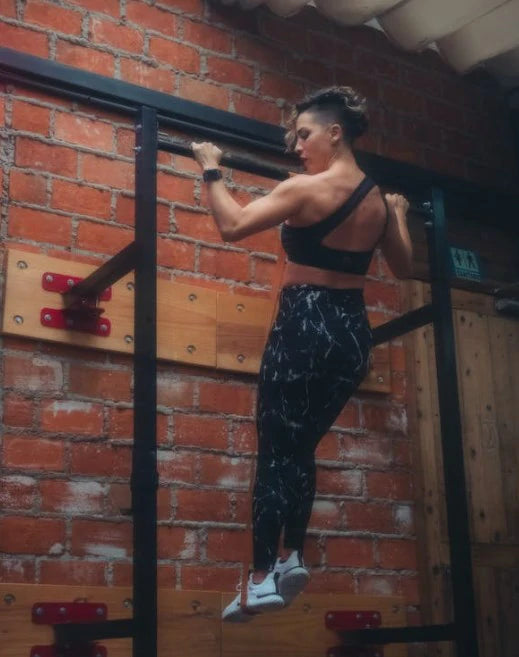 Wall Mounted Pull-Up Handles