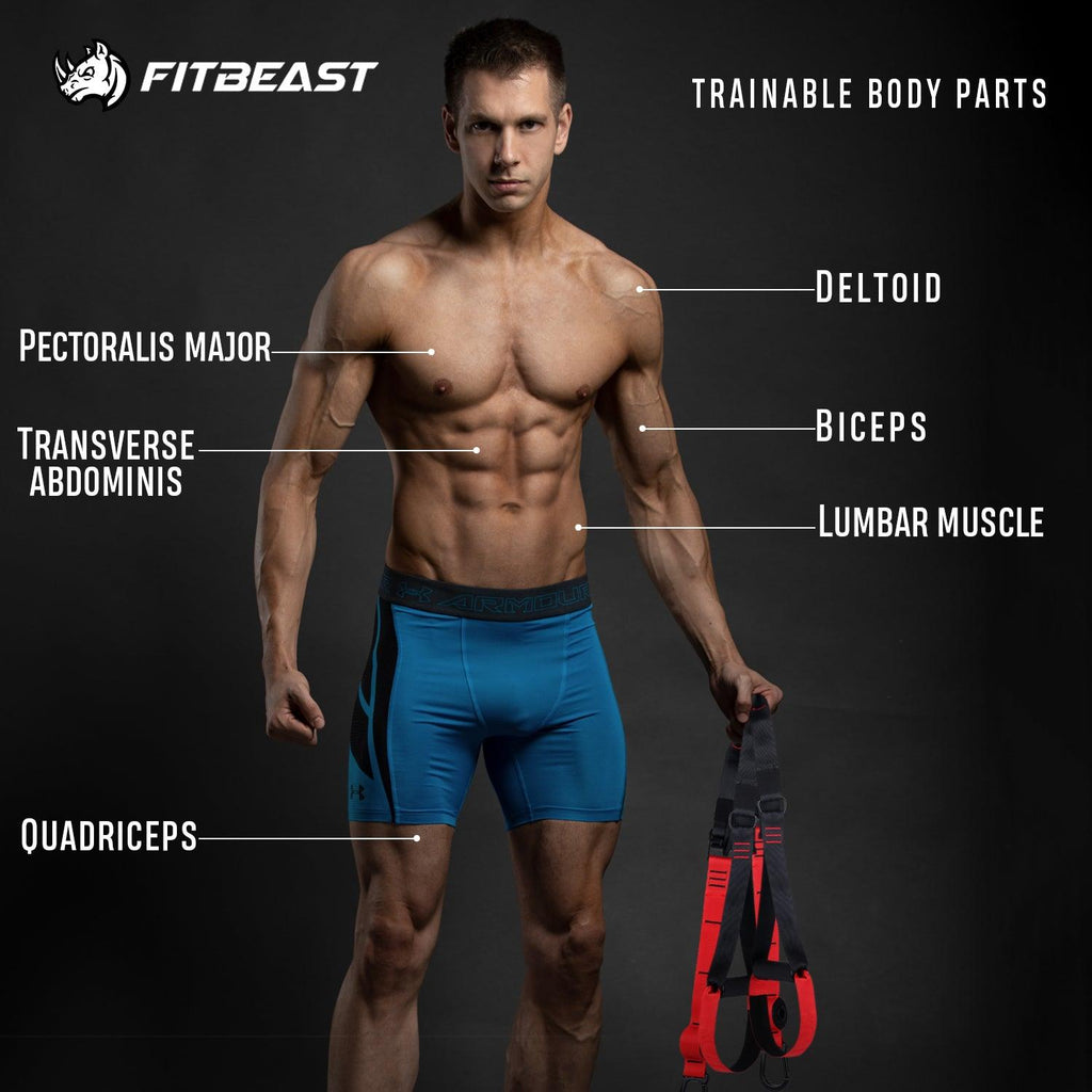 fitbeast-SuspensionTrainingStraps-img-3-function